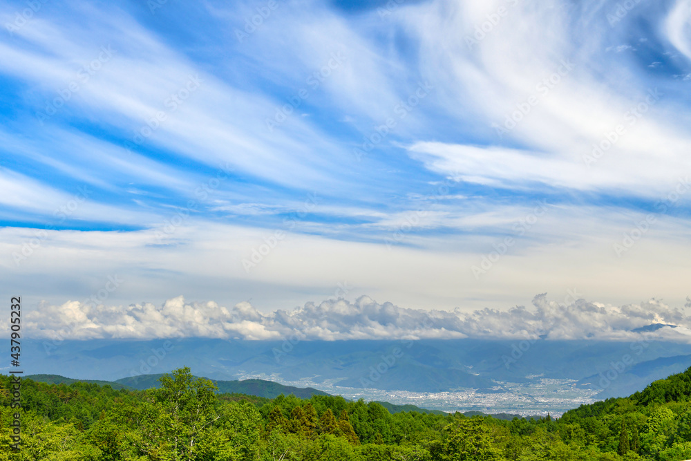 飯綱高原から見下ろす善光寺平と夏空 飯綱高原から見下ろす善光寺平と夏空