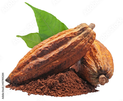 Wallpaper Mural Cacao or Cocoa fruits isolated on white background Torontodigital.ca