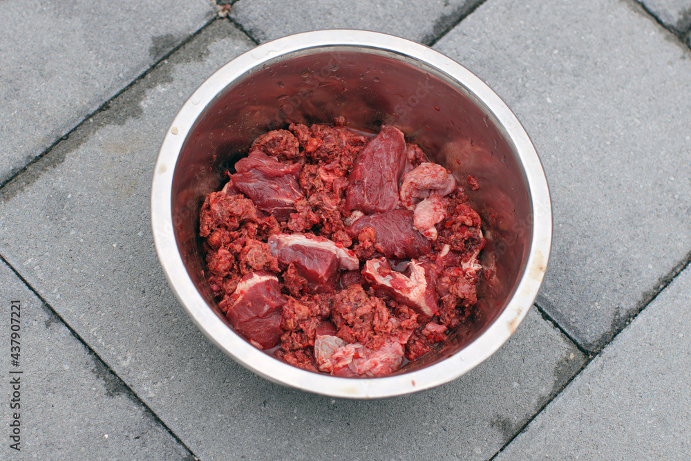Feeding dog with a healthy raw meat food diet. Feeding dog with a healthy raw meat food diet.