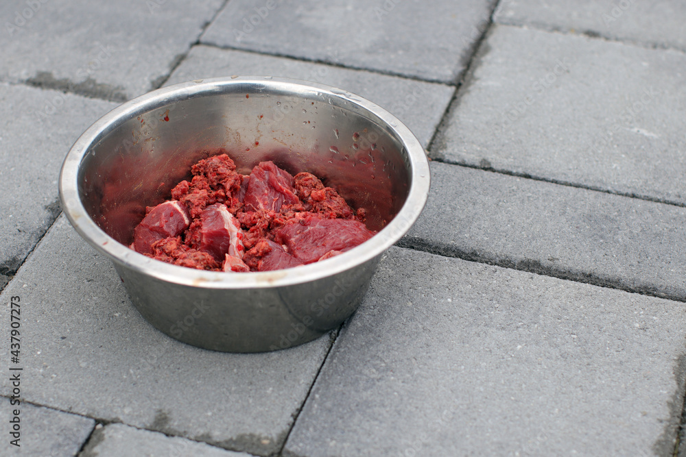 Feeding dog with a healthy raw meat food diet. Feeding dog with a healthy raw meat food diet.