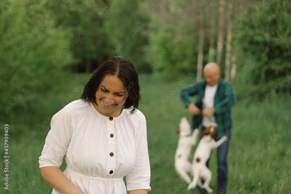 Family play Jack Russell Terrier dog in meadow. Family hugging Jack Russell Terrier dog in nature. Beautiful dog. Family play Jack Russell Terrier dog in meadow. Family hugging Jack Russell Terrier dog in nature. Beautiful dog.