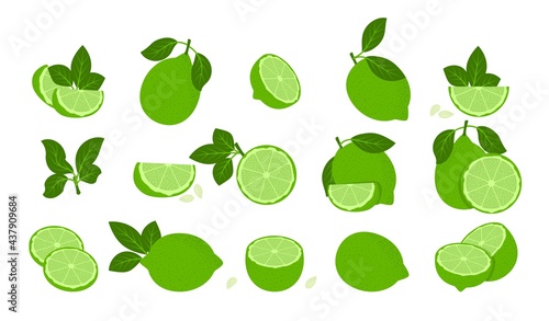 Green lime fruits isolated on white. Whole and Halved Lemon Citrus Fruit with Juicy Flesh and Green Leaves Vector Set. Organic vegetarian fresh food. Vitamin tropical juicy citrus.