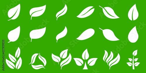 Vector set of white leaves icons. Leaf ecology icon set nature element, leaves, environment and nature eco sign. White leaves on an isolated green background. Vector EPS 10