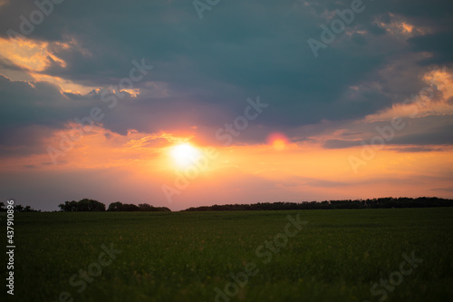 Feld im Sonnenuntergang