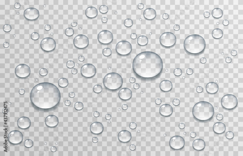 Vector water drops. PNG drops, condensation on the window, on the surface. Realistic drops on an isolated transparent background.