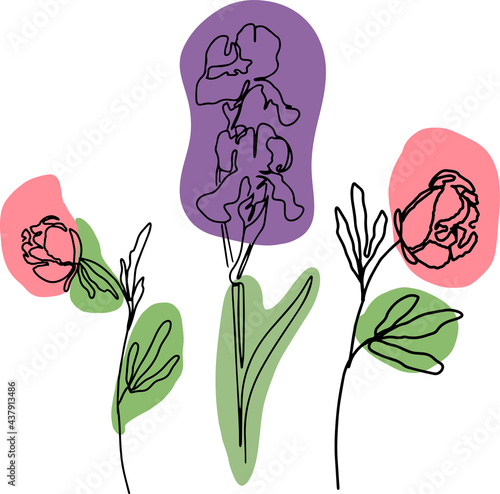 hand drawn Line art monoline flowers . Vector illustration