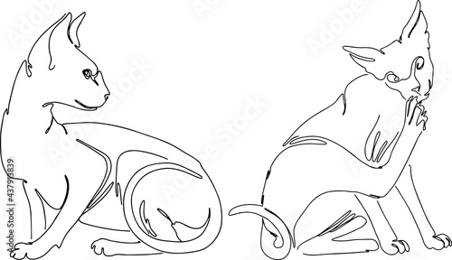 Black line art Illustration happy kitten monoline. Vector illustration