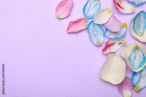Beautiful petals on purple background, flat lay. Space for text