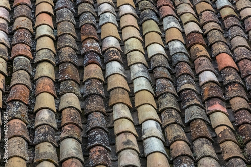 Pattern view of old orange tiles, used in the roofs of traditional architecture buildings, orange clay half-brim tile... © Miguel Almeida