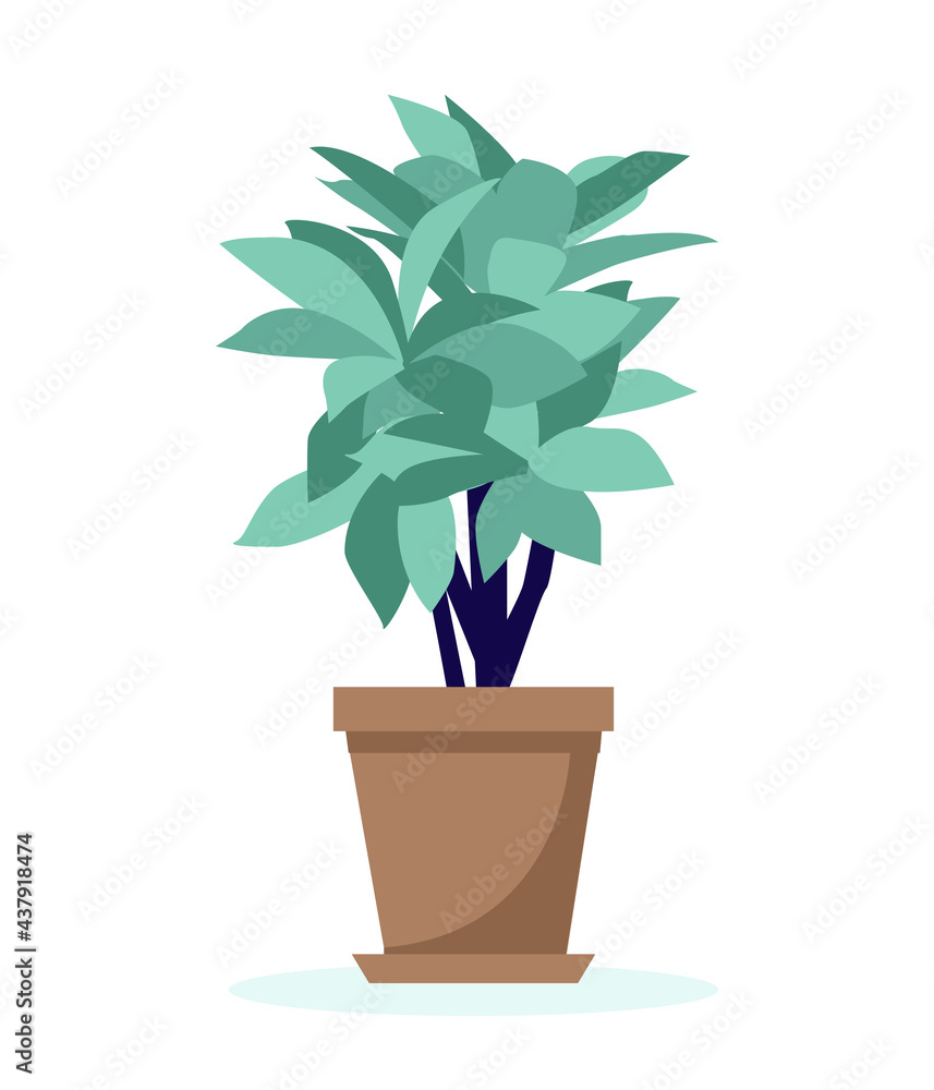 Obraz premium Home plant vector illustration. Houseplant: codiaeum variegatum.