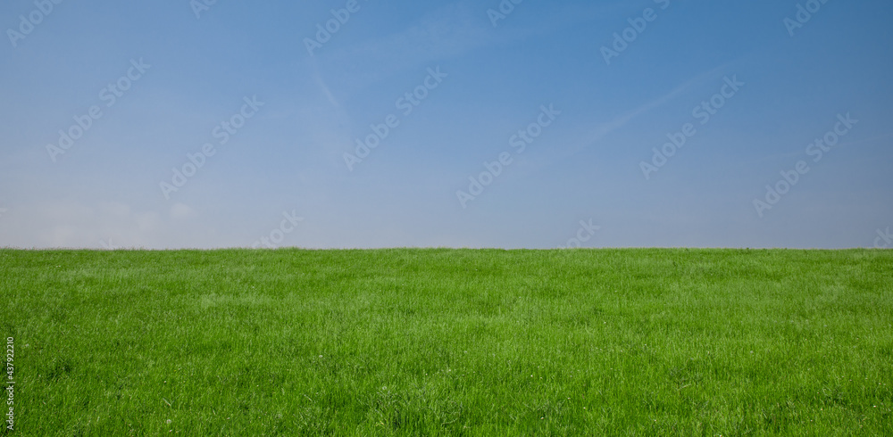 landscape of green grass field and blue sky landscape of green grass field and blue sky