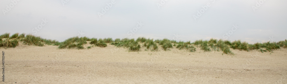 sand dunes with grass and blue sky - north sea landscape sand dunes with grass and blue sky - north sea landscape