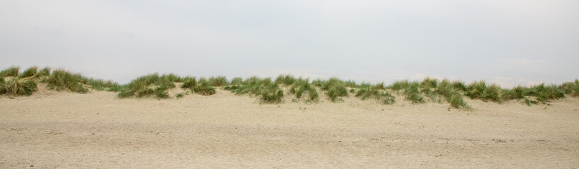 Keuken achterwand Duingras Noordzeeduinen met gras en lucht  © agrus