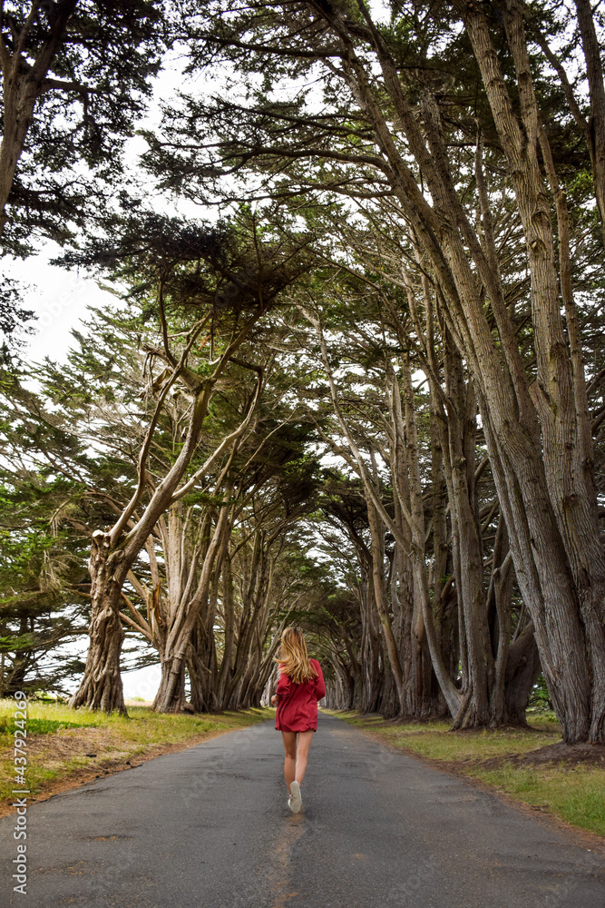 Fototapeta premium Girl running through tree tunnel