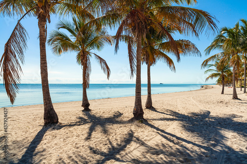 Beautiful Crandon Park Beach located in Key Biscayne in Miami © Fotoluminate LLC