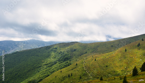 landscape in summer