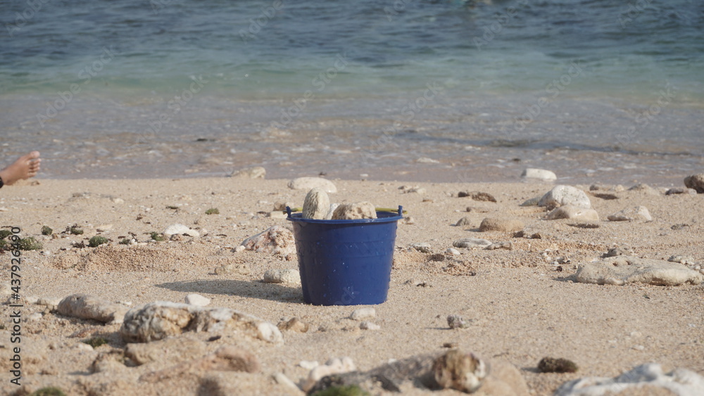 A bucket full of coral on the beach A bucket full of coral on the beach
