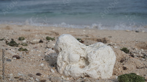 Dead coral washed up on the beach