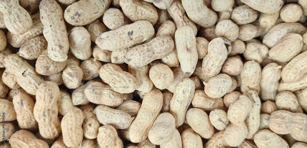 Peanuts in shells, background. Heap of peanuts close-up. Peanuts in shells, background. Heap of peanuts close-up.