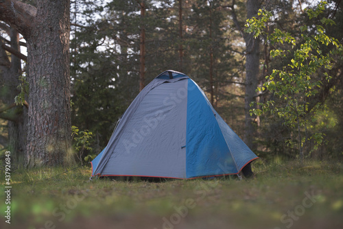 A tent in a picturesque summer forest. Hiking theme.
