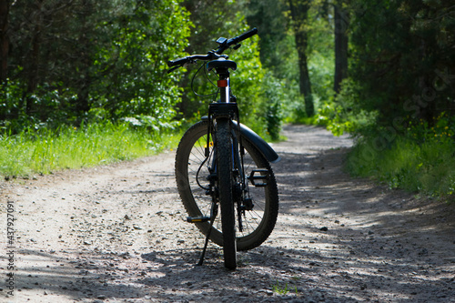 rear wheel of a mountain bike. A mountain bike stands on a trail in a summer forest. cycling outdoor. concepts of renovation, sports, cycling, outdoor activities. spring park. close-up