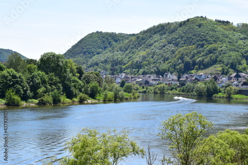 Mosel zwischen Gondorf und Lehmen photo