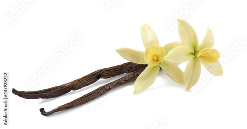 Aromatic vanilla sticks and beautiful flowers on white background