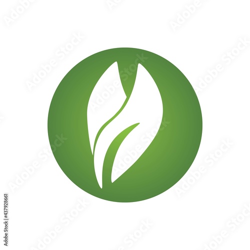  green Tree leaf ecology vector