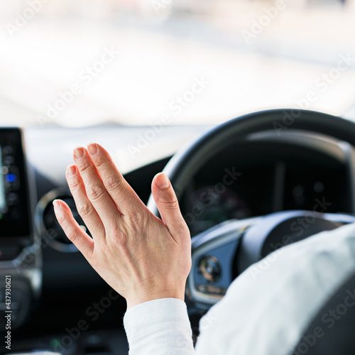 オートパイロット 自動運転 ドライブ