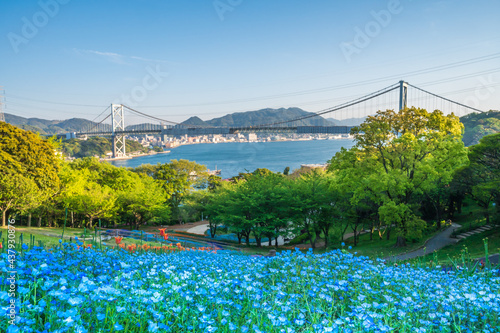 春の火の山公園に咲く綺麗な花畑から眺める関門海峡