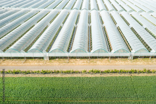 Greenhouses covered with film for planting vegetables in the fields.
