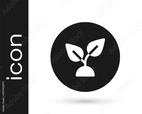 Black Plant based icon isolated on white background. Vector