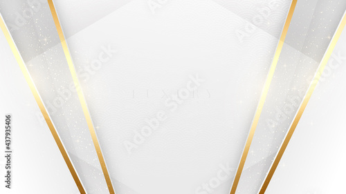 Elegant white shade background with line golden elements. Realistic luxury paper cut style 3d modern concept. vector illustration for design.