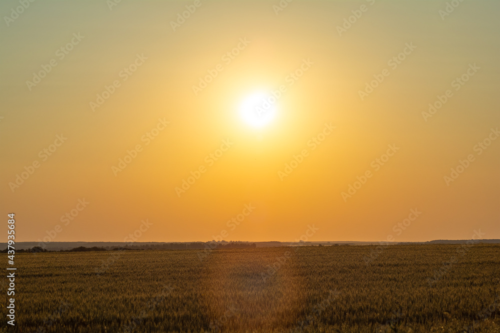 The sun sets behind wheat fields and hills, painting the sky gold.
