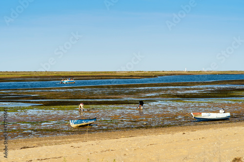 Ria Formosa during low tide with people gathering the seafood, Faro, Algarve, Portugal