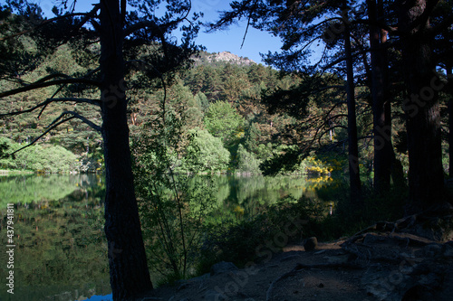 Fototapeta Naklejka Na Ścianę i Meble -  krajobraz góry jezioro wiosna niebo nienieskie natura drzewa