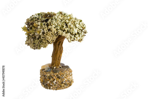 A toy tree a souvenir made and glued by your own hands. Can be used as a gift. A brown trunk with a base of sand and small stones. The crown consists of live gray-green moss. The object on the left