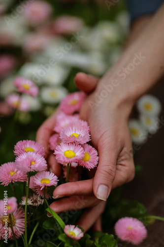 flowers in the hands of a woman © prohor08