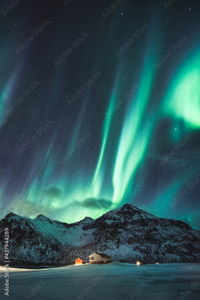 Aurora borealis, Northern lights with stars glowing on snowy mountain in the night sky on winter at Lofoten Islands