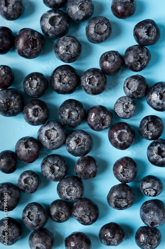 lots of blueberries on a blue background. summer fruit background