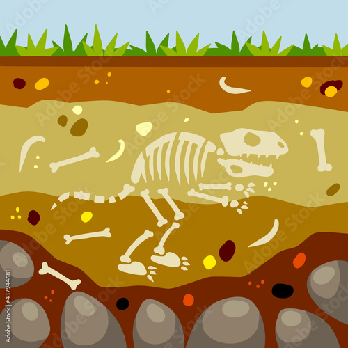 Dinosaur skeleton. Bones of a prehistoric lizard. Land in the section. Soil with layers. Flat cartoon landscape. Historical find and archaeological excavations