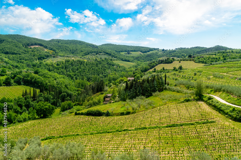 Hills of the Tuscan countryside with Chianti wine vineyards Florence