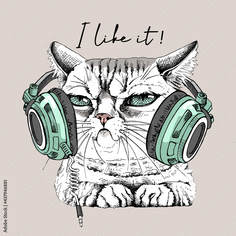 Portrait of the funny relaxed cat in the headphones. Humor card, t-shirt  composition, meme, hand drawn style print. Vector illustration. Stock  Vector | Adobe Stock