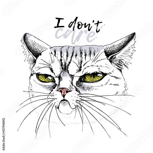Portrait of the funny Grumpy cat. Humor card, t-shirt composition, meme, hand drawn style print. Vector illustration.