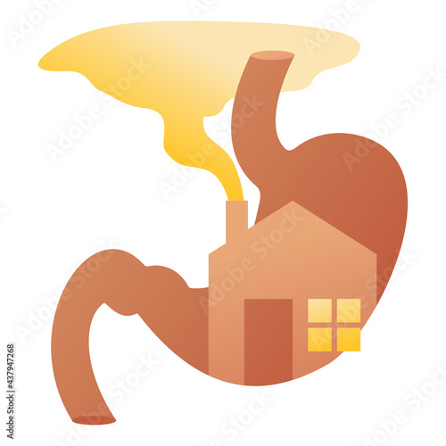 Gut microbiota - stomach as a home of microflora