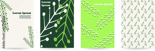 White and green vector fir and spruce branches backgrounds with a seamless pattern, winter style. Set of 4 illustrations, ideal for beauty and cosmetics brands. Flat lay posters.