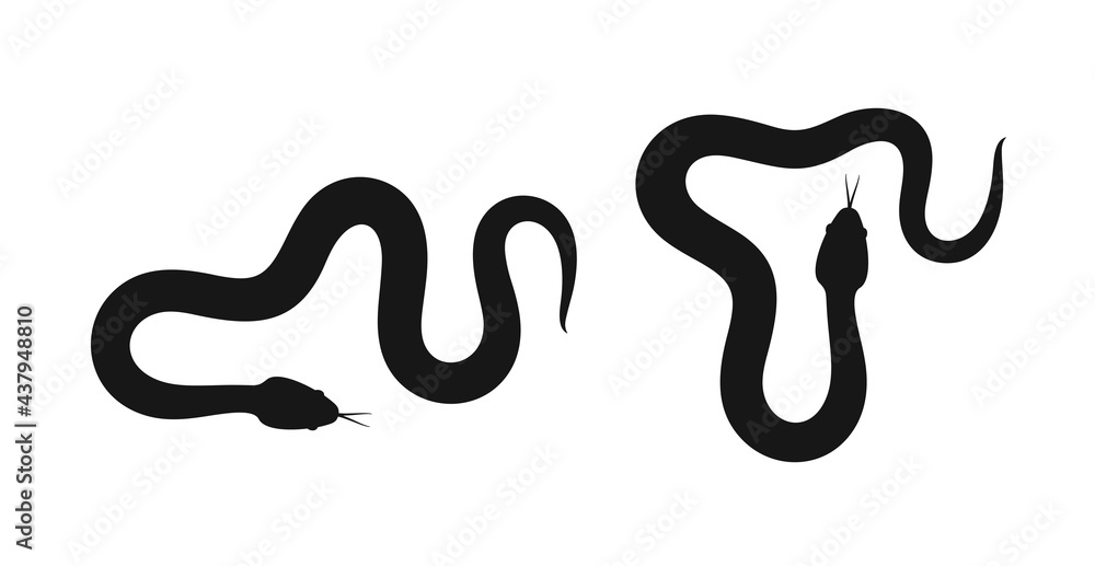 Obraz premium Snake silhouette. Isolated snake on white background