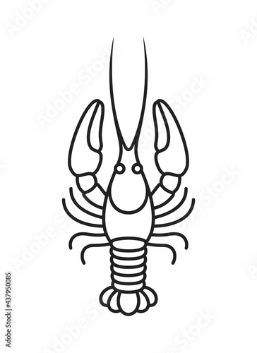 Crayfish outline. Isolated crayfish on white background © oleg7799