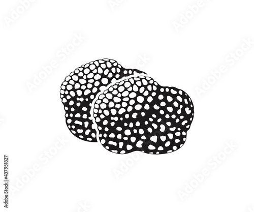 Truffle logo. Isolated truffle on white background