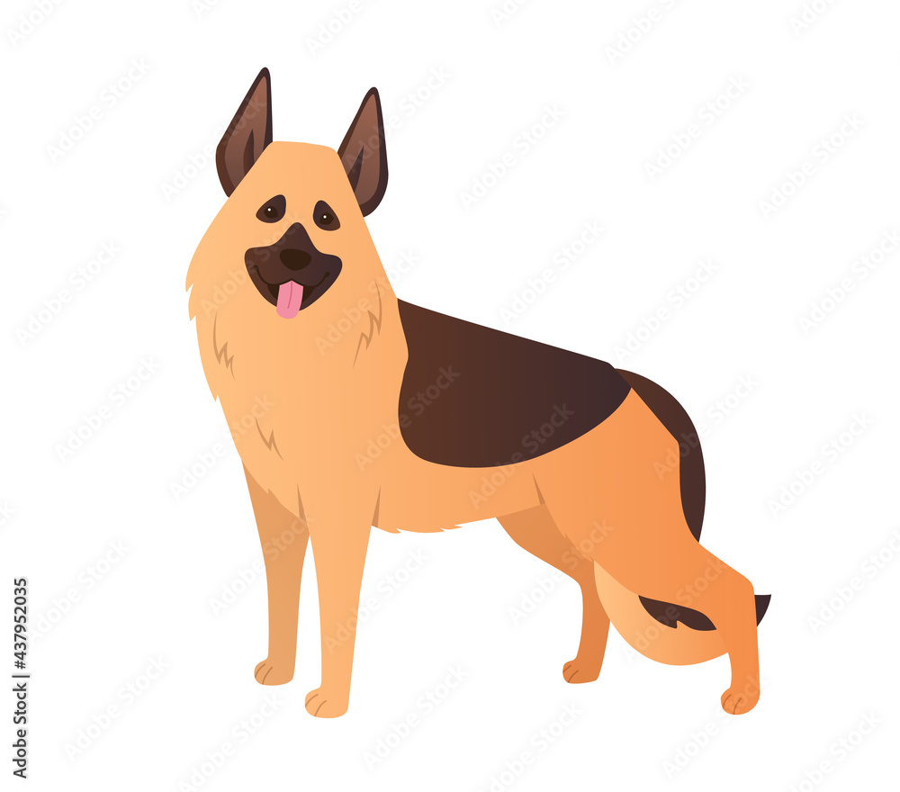 German Shepherd vector illustration. Purebred guard dog cartoon in flat style on white background
